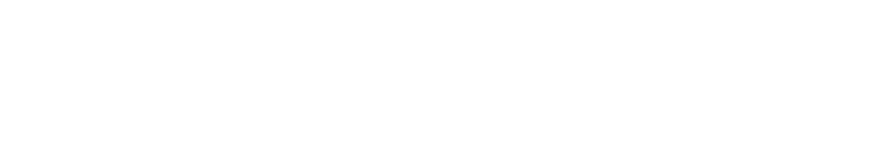 HS logoer-1